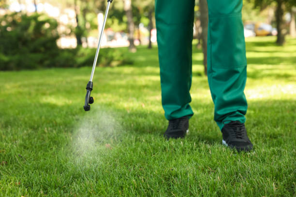 Professional Pest Control in Grants Pass, OR