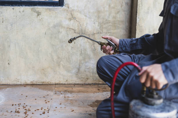 Best Pest Control Treatment  in Grants Pass, OR