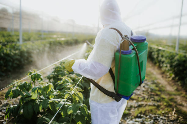 Best Commercial Pest Control Services  in Grants Pass, OR